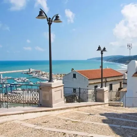 Joivy Dimore Rodiane - U Vucc'l * ローディ・ガルガーニコ